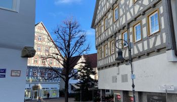 Immobiliengutachter in Waiblingen