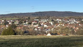 Immobilien Weissach im Tal